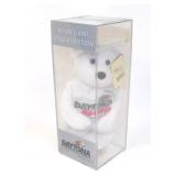 Daytona 500 International Speedway Bear