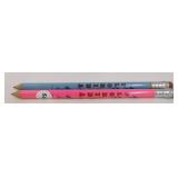2 Jumbo Florida Souvenir Lead Pencils