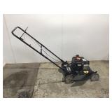 Murray 20 in. 125 cc Briggs & Stratton Walk Behind Gas Push Lawn Mower