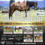 MAY 4TH CATALOG HORSE SALE