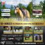 JUNE 1ST CATALOG HORSE SALE