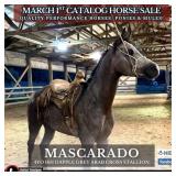 MASCARADO