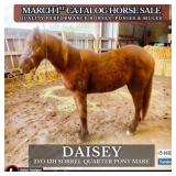 DAISEY