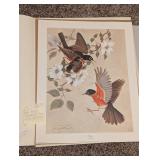 VTG Large Art Print 'Robins' by Jim Oliver