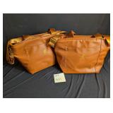 Set of 2 Eco One Insulated Tote 12pc set