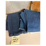Maternity Pants