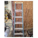 Werner 6' Ladder