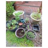 Garden pots
