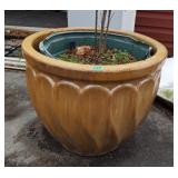 Large Teracotta Glazed Flower Pot Planter