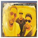 Rap DJ Single Vinyl Record: Shadz of Lingo
