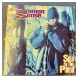 DJ Single Vinyl Record: Common Sense