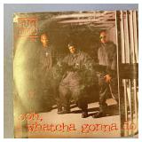 DJ Single Vinyl Record: Run DMC