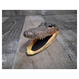 Vintage Small Aligator Head Taxidermy