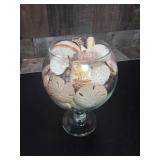 Huge Lot Natural Sea Shell Ocean Collection