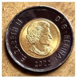 Collectible 2022 Canadian 'Black Toonie'