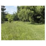 46 +/- Acres Stringfield Rd