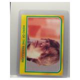 Hero Of The Rebellion 1980 Topps