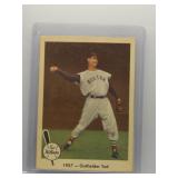 Ted Williams 1959 Fleer