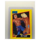 Ric Flair 1991 WCW