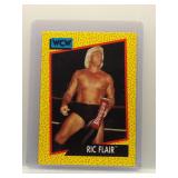Ric Flair 1991 WCW