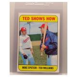 Mike Epstein & Ted Williams 1969 Topps
