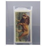 1962 African Wild Life Lot of 36 Cigarette Cards