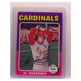 Al Hrabosky 1975 Topps