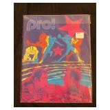 Chicago Bears vs Pittsburgh Steelers 1971 Program