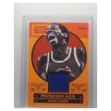 Geese Ausbie 2014 Golden Age Museum Age Patch