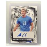 Andri Gudjohnsen 2024 Leaf auto