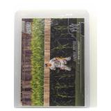 Aaron Judge 2022 Topps Stadium Club *Field of...
