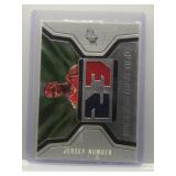 LeBron James 2007 SPx Winning Jersey Number patch