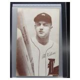 1947-66 Exhibits Al Kaline Portrait