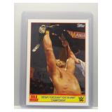 Hulk Hogan 2015 Topps Championship Spotlight #18