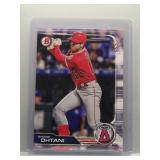 Shohei 2019 Bowman