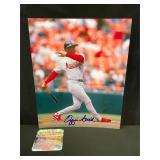 Ozzie Smith St Louis Cardinals signed 8x10