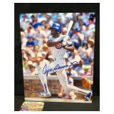 Andre Dawson Chicago Cubs Autograph Photo