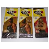 Vintage WCW NWO Kevin Nash, Hulk Hogan Red &