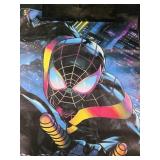 16x19 Spiderman poster