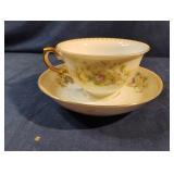 Vintage Melto Arbor China tea cup and plate