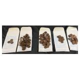 Assorted pennies