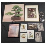 Vintage post cards, footprints sign, butterfly