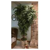 6ft 10" Artificial Ficus Silk Tree housed in a