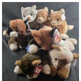 8 large cat beanie babies