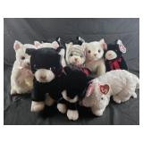 10 large beanie babies cats