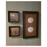 Nautical wall decor, sand dollars
