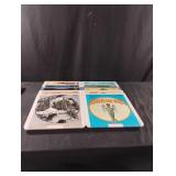 Vintage LaserDiscs including Charlie Chaplin,