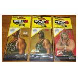 3 Vintage WCW NWO Wrestling Car Air Freshener