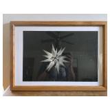 20x14 5 framed moravian star artwork unsigned