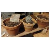 Terra cotta vases with misc pottery 14 x 12
